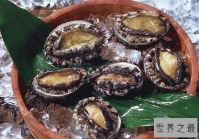 ​世界上最贵的鲍鱼，单价为1.28万一只