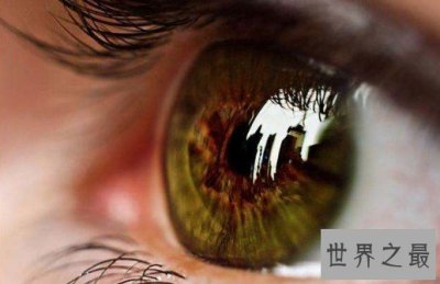 ​人体含水量百分比最高的器官，眼球水含量高达99%