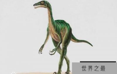 ​卞氏龙：云南出土的早侏罗纪恐龙，又名卞氏的蜥蜴
