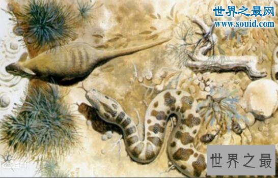 远古巨兽沃那比蛇，能生吞恐龙(比泰坦蟒更加凶残)