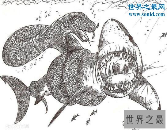 远古巨兽沃那比蛇，能生吞恐龙(比泰坦蟒更加凶残)