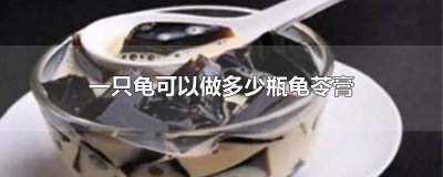 ​龟苓膏是拿什么龟壳都可以做吗 龟壳怎样做龟苓膏