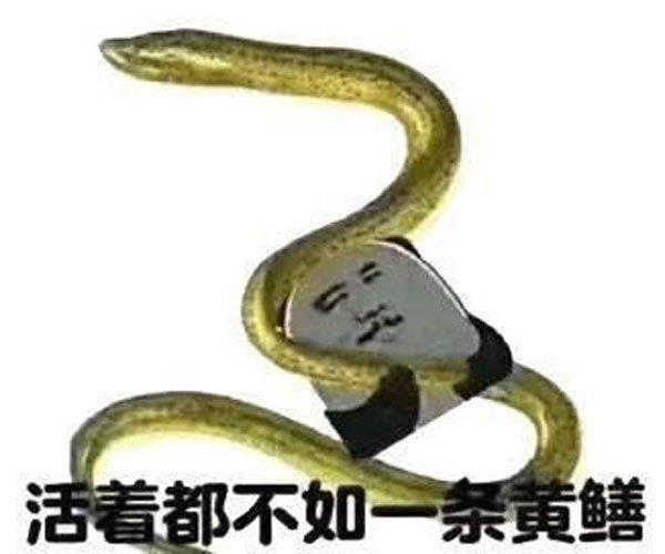 黄鳝门21分钟完整版在线真假 要钱不要命太会玩了
