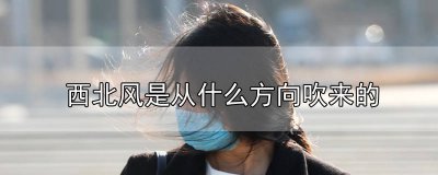 ​西北风是从什么方向吹来的? 西北风是从什么方向吹来的原因