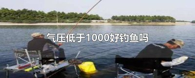 ​气压低能钓到鱼吗 气压偏低如何钓鱼