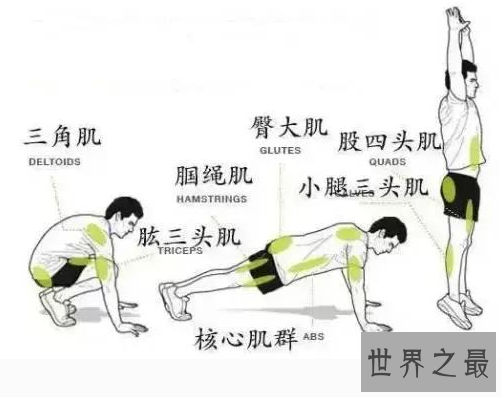 当前最火波比运动，脂肪杀手(10分钟消耗115大卡）