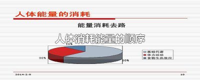 ​体内能量的消耗顺序 人体消耗能源的顺序