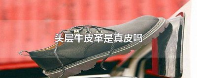 ​头层牛皮革和牛皮的区别 牛皮革和头层牛皮有什么区别牛皮的区别