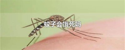 ​蚊子会饿死吗为什么 蚊子饿几天会饿死