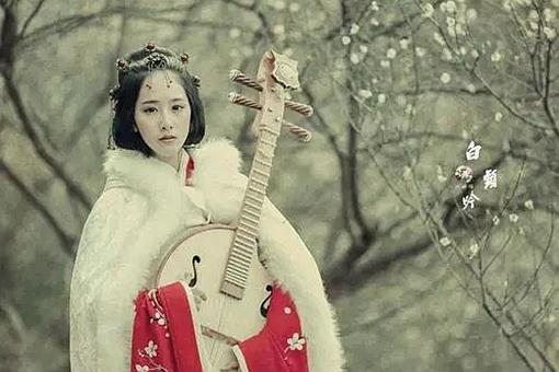 凤求凰到底讲了些什么?