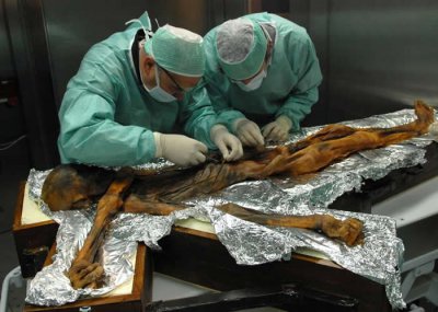 ​5300年前冰人奥茨最后的晚餐：羱羊、红鹿和小麦等