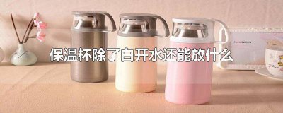 ​保温杯除了白开水还能放什么水 保温杯除了白开水还能放什么东西