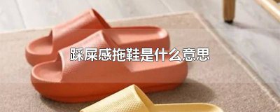 ​踩屎感拖鞋缺点 真正踩屎感拖鞋