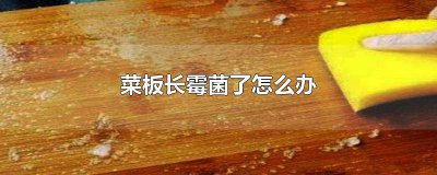​菜板上有霉菌怎么办 发霉的菜板怎么办