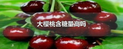 ​大樱桃含糖量高吗 大樱桃含糖量高吗?糖尿病人能吃吗?