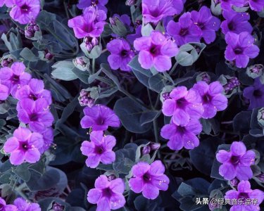 ​女生人品差的表现（三观很正女孩子的表现）
