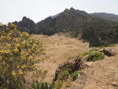 ​研究表明在人类定居后一个生态系统的植物生命变化率明显增加