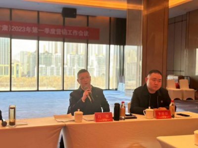 ​五粮液系列酒营销大区(五粮液公司营销活动)