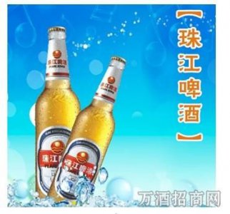 ​河北珠江啤酒招商 *** _河北珠江啤酒招商部 ***