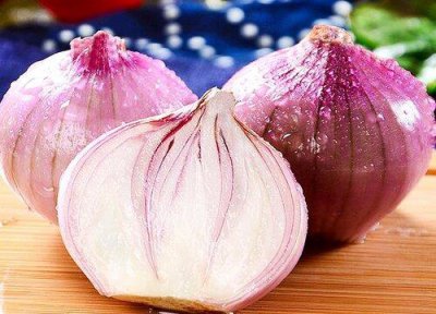 ​洋葱什么时候育苗（育苗时间是在8-9月份）