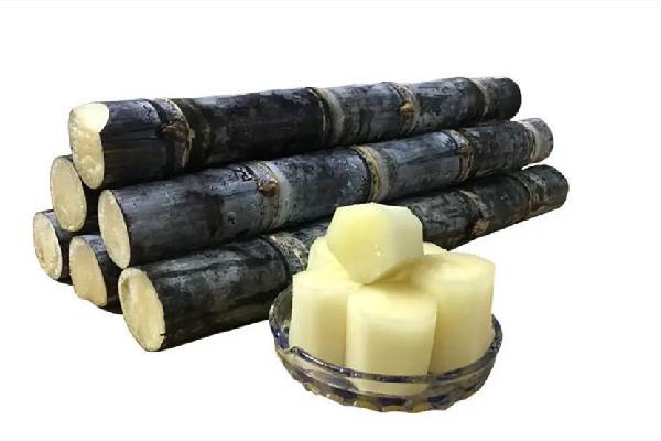 甘蔗有补血的功效吗 甘蔗对嗓子有好处吗