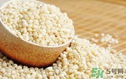 高粱米可以直接煮饭吗?高粱米怎么煮饭