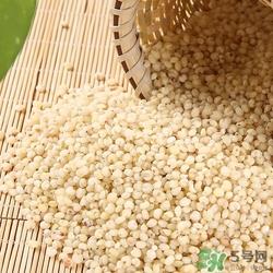 高粱米可以直接煮饭吗?高粱米怎么煮饭