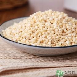 高粱米可以直接煮饭吗?高粱米怎么煮饭