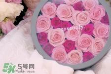 roseonly鲜花怎么保养？roseonly永生花怎么保养？