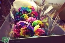 roseonly鲜花怎么保养？roseonly永生花怎么保养？
