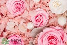 roseonly鲜花怎么保养？roseonly永生花怎么保养？