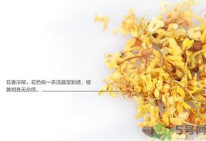 新鲜桂花可以泡水喝吗？新鲜桂花泡水喝有什么好处？