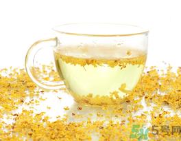 新鲜桂花可以泡水喝吗？新鲜桂花泡水喝有什么好处？