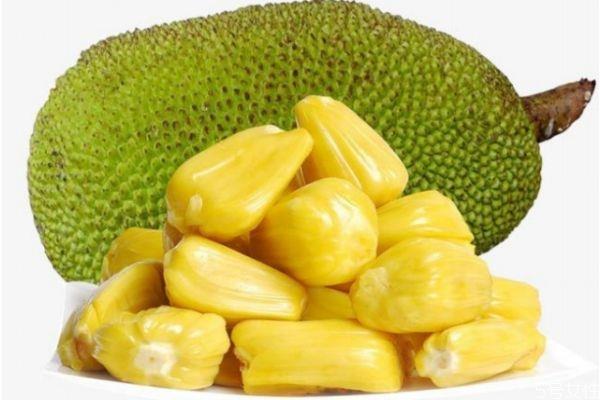 菠萝蜜果肉出水了还能吃吗 菠萝蜜果肉出水了是坏了吗