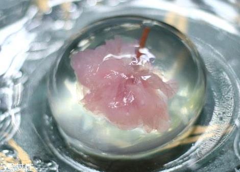 水信玄饼多少钱一个 水信玄饼什么时候有