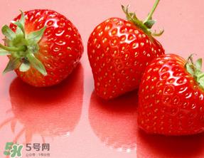 奶油草莓是什么品种？奶油草莓和巧克力草莓的区别 