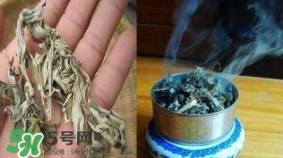 ​艾叶可以驱蚊子吗？艾叶能驱蚊子吗