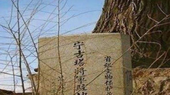 网络配图