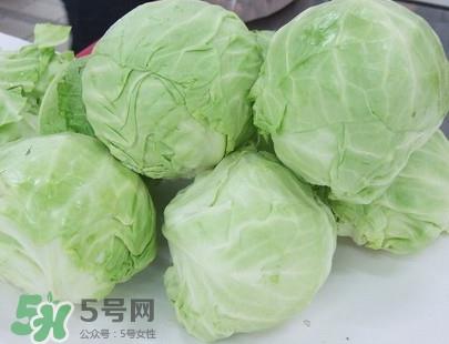 圆白菜怎么做好吃？圆白菜有什么功效