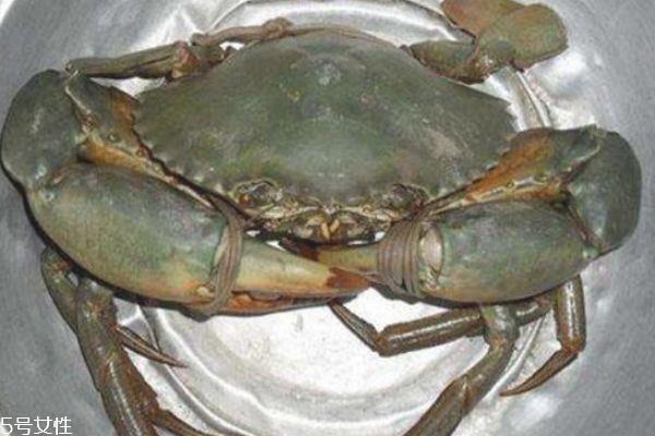 三门青蟹多少钱一斤 死了的三门青蟹不能吃