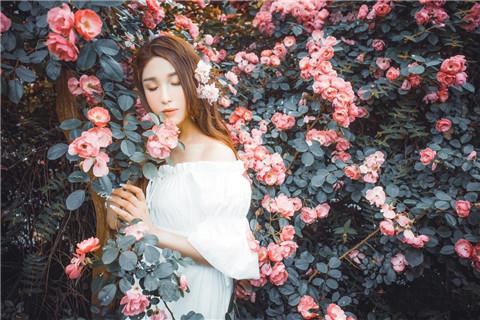 无精神症状的双相情感障碍