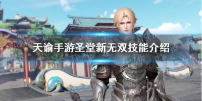 ​天谕圣堂新无双技能怎么样