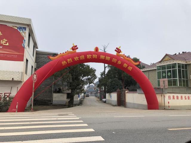 欧阳娜娜回江西祭祖，跪拜十分虔诚，乡亲拉横幅欢迎像领导视察