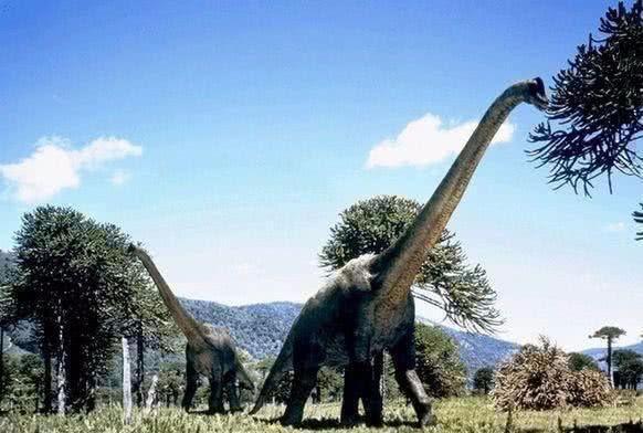 地球上是否可能存在过体长超过100米的生物？为什么？