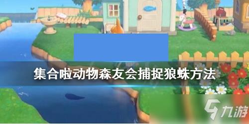 集合啦动物森友会狼蛛怎么抓 集合啦动物森友会捕捉狼蛛技巧