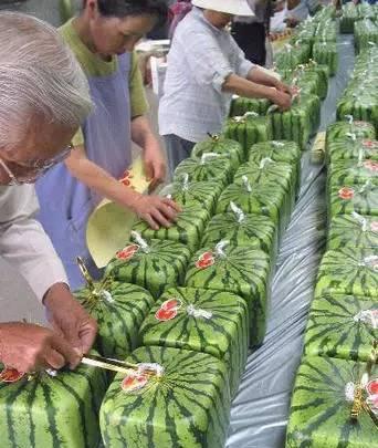世界上最牛的52张照片，您见过几个？第三张我就惊呆了！