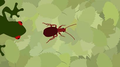 世界上最接近「会喷火」的生物，没想到是它...
