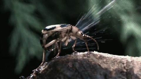 世界上最接近「会喷火」的生物，没想到是它...