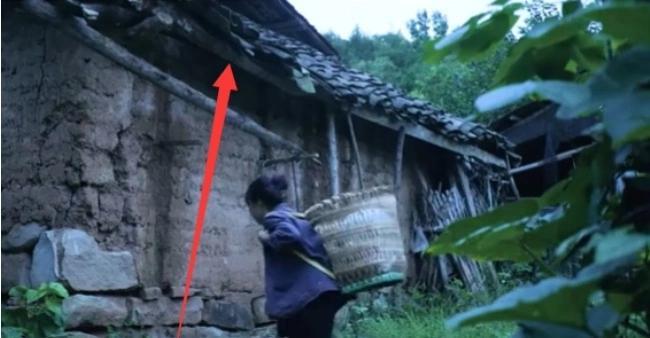 李子柒家房子全景曝光，对比叔叔家房子，网友：典型农村大户人家