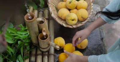 ​李子柒家房子全景曝光，对比叔叔家房子，网友：典型农村大户人家